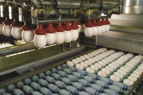Ovoproductos: Mejora el perfil exportador argentino