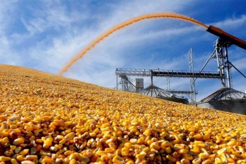 Proyectan exportaciones récord del agro en 2027