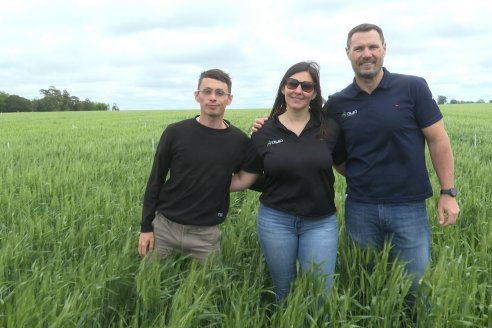Ensayo Nanourea NUP de Philagro en trigo - Arroyo Clé, Departamento Tala
