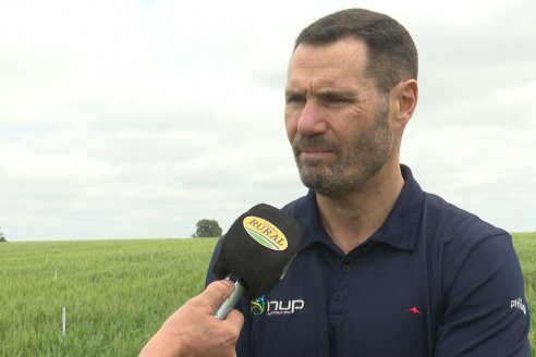 Ensayo Nanourea NUP de Philagro en trigo - Arroyo Clé, Departamento Tala