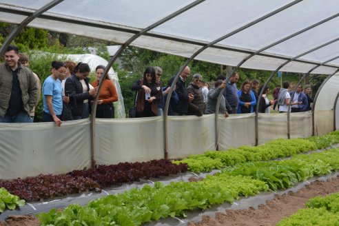 Proponen innovar en horticultura
