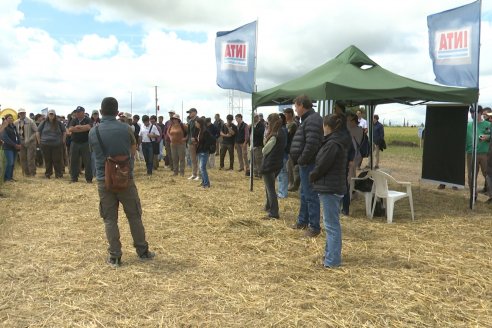1° Fiesta Provincial del Trigo - Chacra 100 - Valle Maria, Entre Ríos