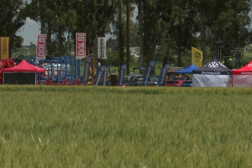 1° Fiesta Provincial del Trigo - Chacra 100 - Valle Maria, Entre Ríos