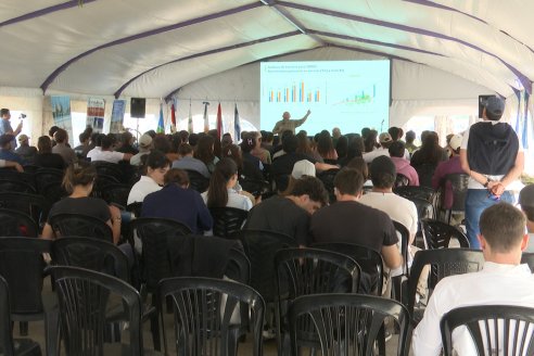 1° Fiesta Provincial del Trigo - Chacra 100 - Valle Maria, Entre Ríos