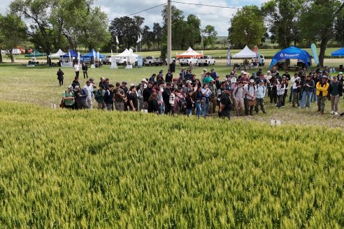 1° Fiesta Provincial del Trigo - Chacra 100 - Valle Maria, Entre Ríos