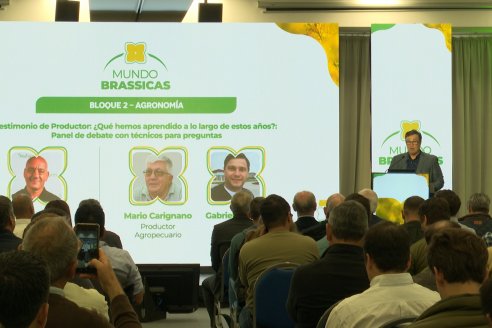 1° Simposio Mundo Brassicas en Paraná organizado por Nufarm