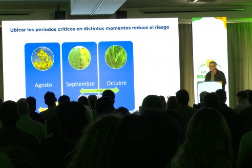1° Simposio Mundo Brassicas en Paraná organizado por Nufarm