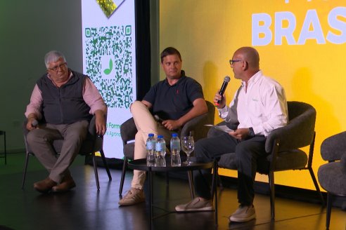 1° Simposio Mundo Brassicas en Paraná organizado por Nufarm