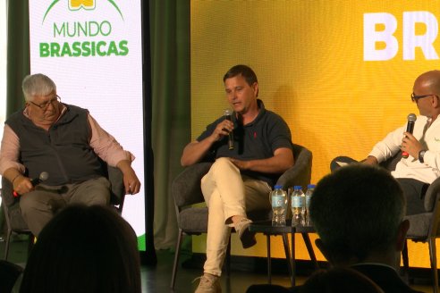 1° Simposio Mundo Brassicas en Paraná organizado por Nufarm