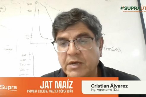 El enemigo invisible que le roba agua y rendimiento al maíz