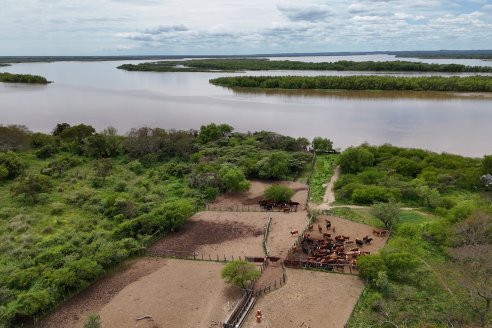 Osvaldo Mayr - Isla El Peluquero - Traslado de hacienda a tierra firme