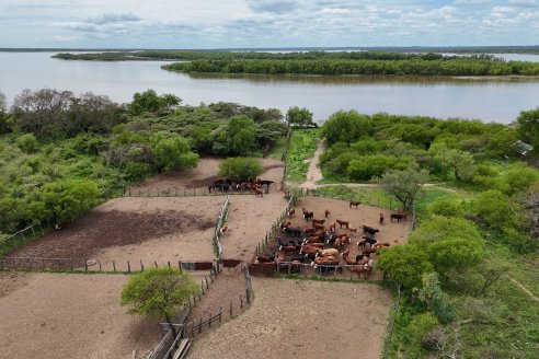 Osvaldo Mayr - Isla El Peluquero - Traslado de hacienda a tierra firme